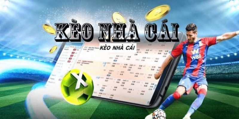 Nhà cái 12bet tung ra tỷ lệ kèo nhà cái chuẩn, hấp dẫn 